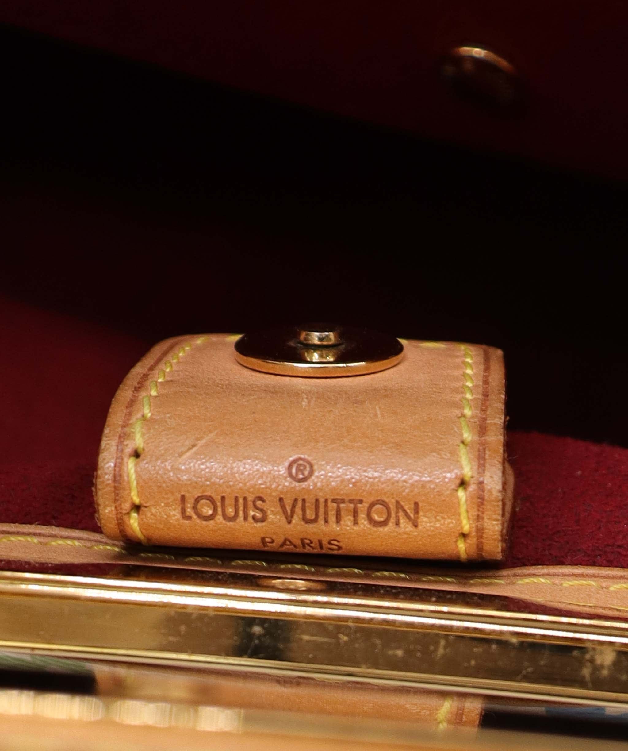 Louis Vuitton Louis Vuitton Bag AGC3006