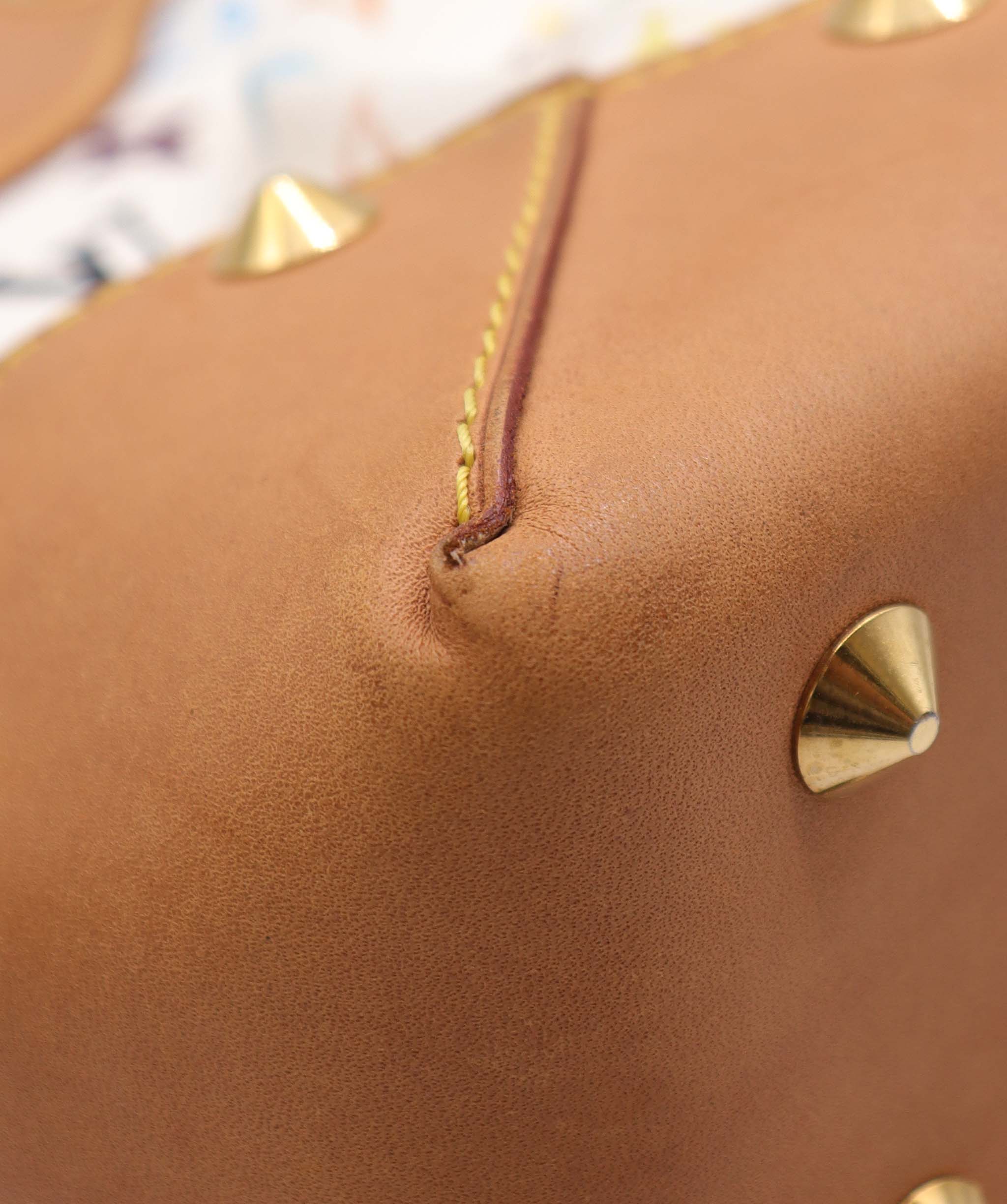 Louis Vuitton Louis Vuitton Bag AGC3006