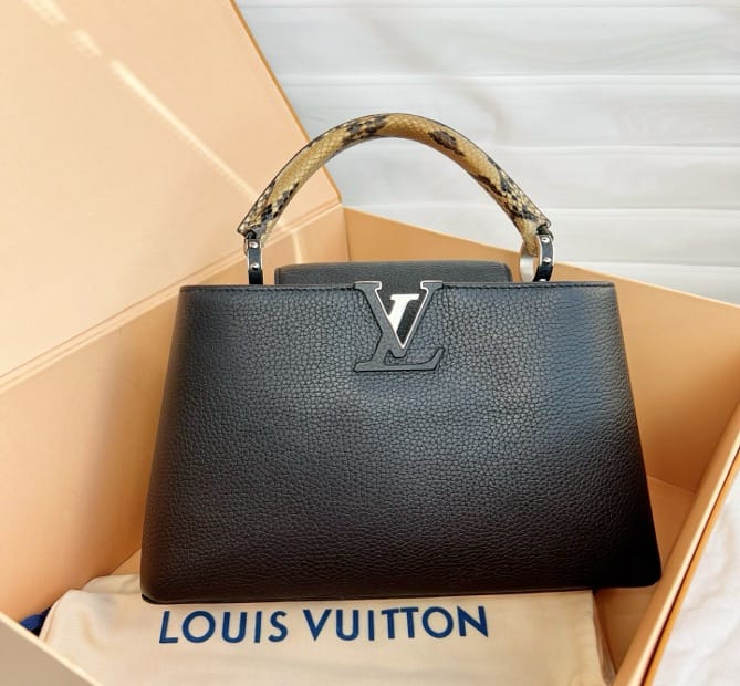 Louis Vuitton Louis Vuitton Chip C19481348663