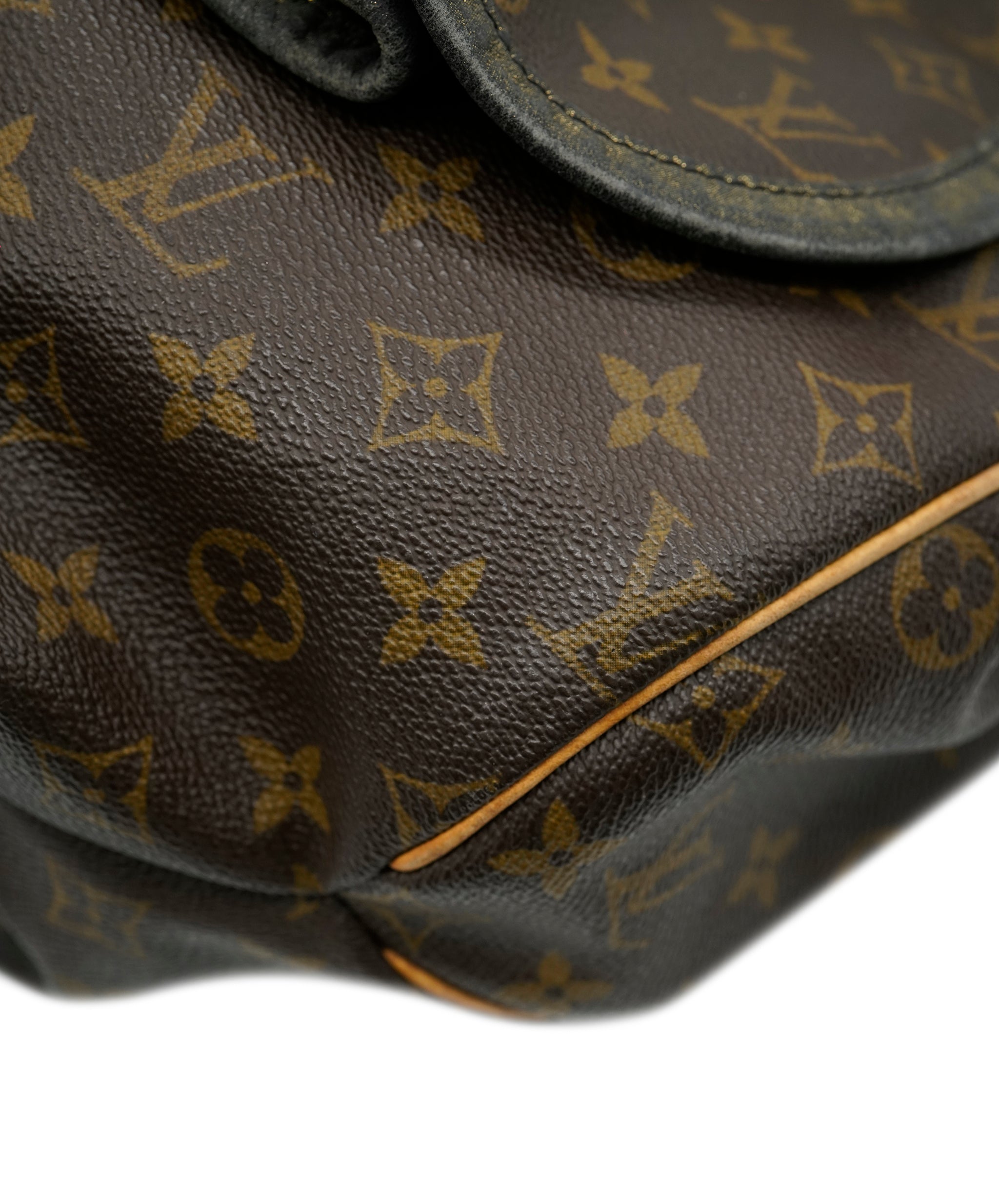 Louis Vuitton Louis Vuitton Monogram Hobo Bag  AGC3015