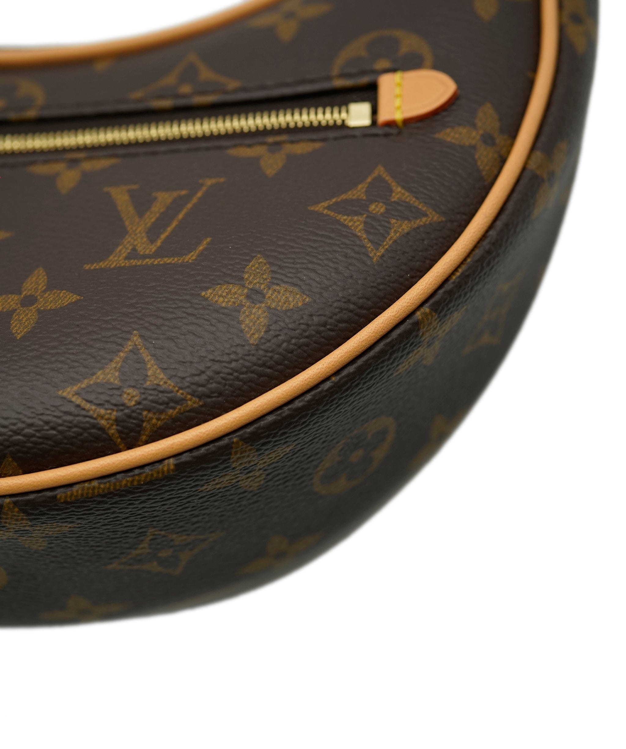 Louis Vuitton LV Monogram Canvas LoopASC2305