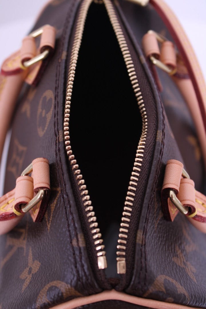 Louis Vuitton Louis Vuitton 2019 Nano Speedy Bag Brown Monogram