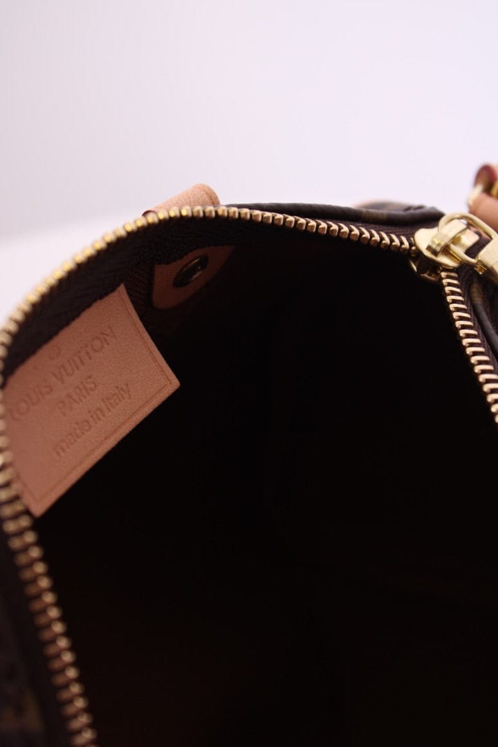 Louis Vuitton Louis Vuitton 2019 Nano Speedy Bag Brown Monogram