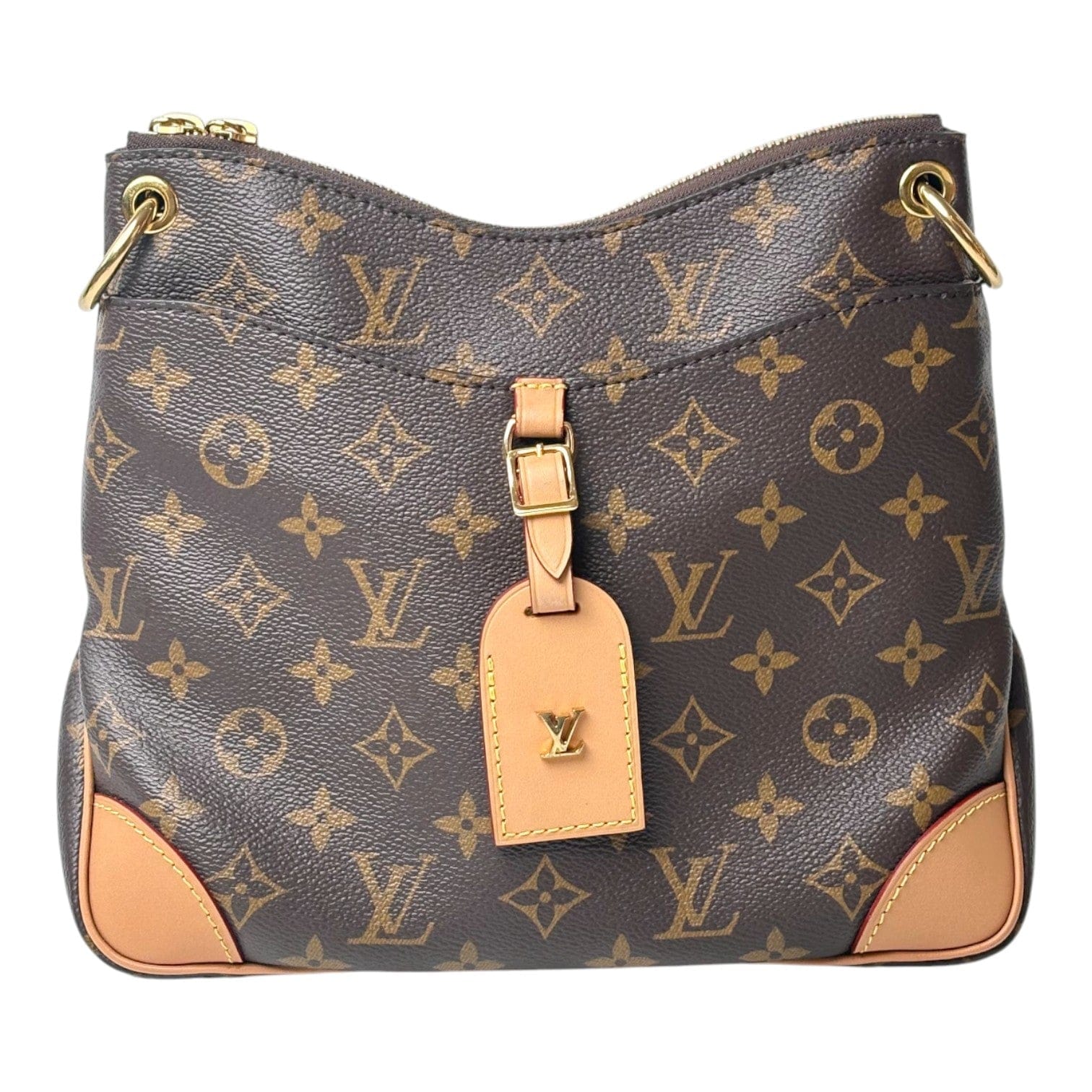 Louis Vuitton Louis Vuitton Odeon PM Hobo Bag