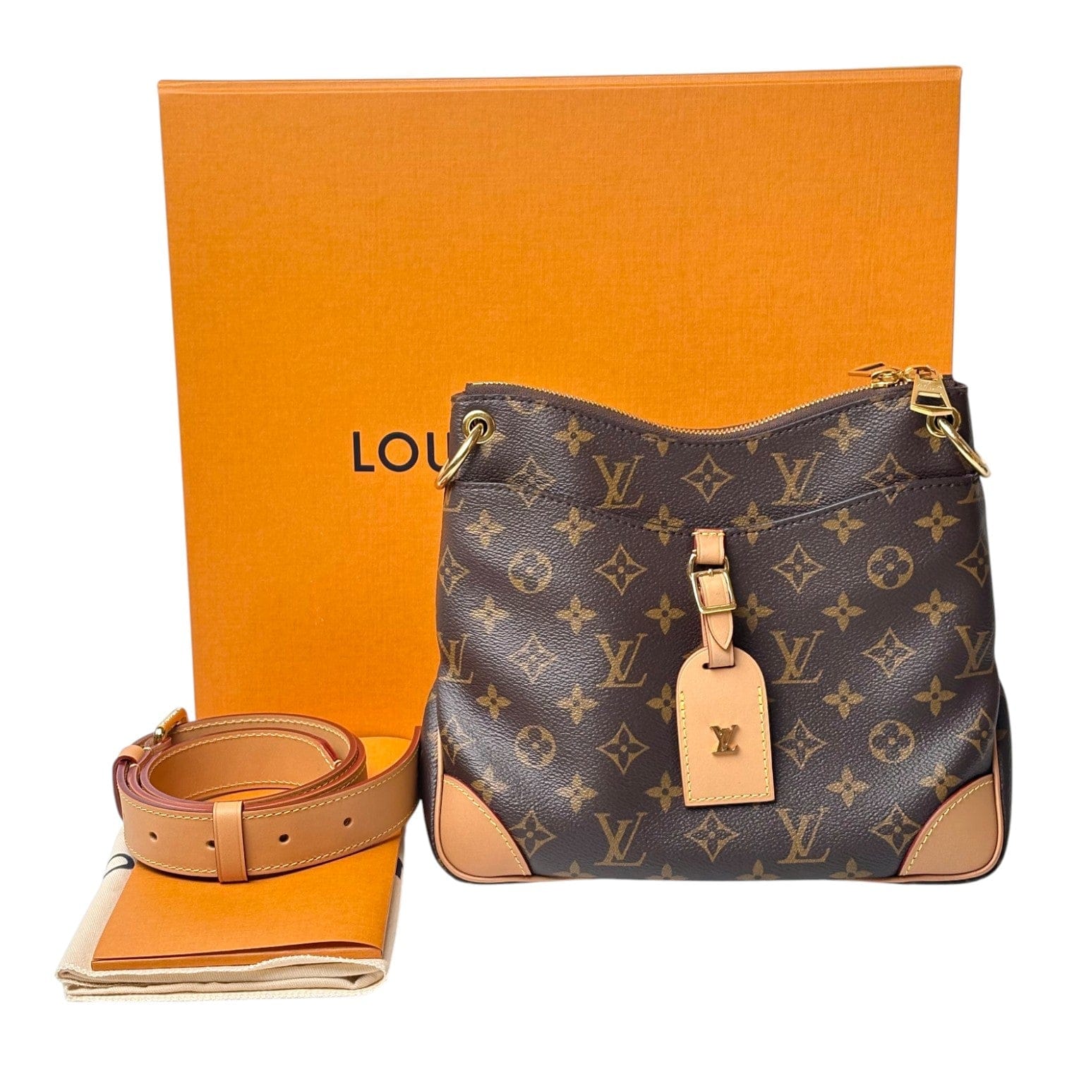 Louis Vuitton Louis Vuitton Odeon PM Hobo Bag