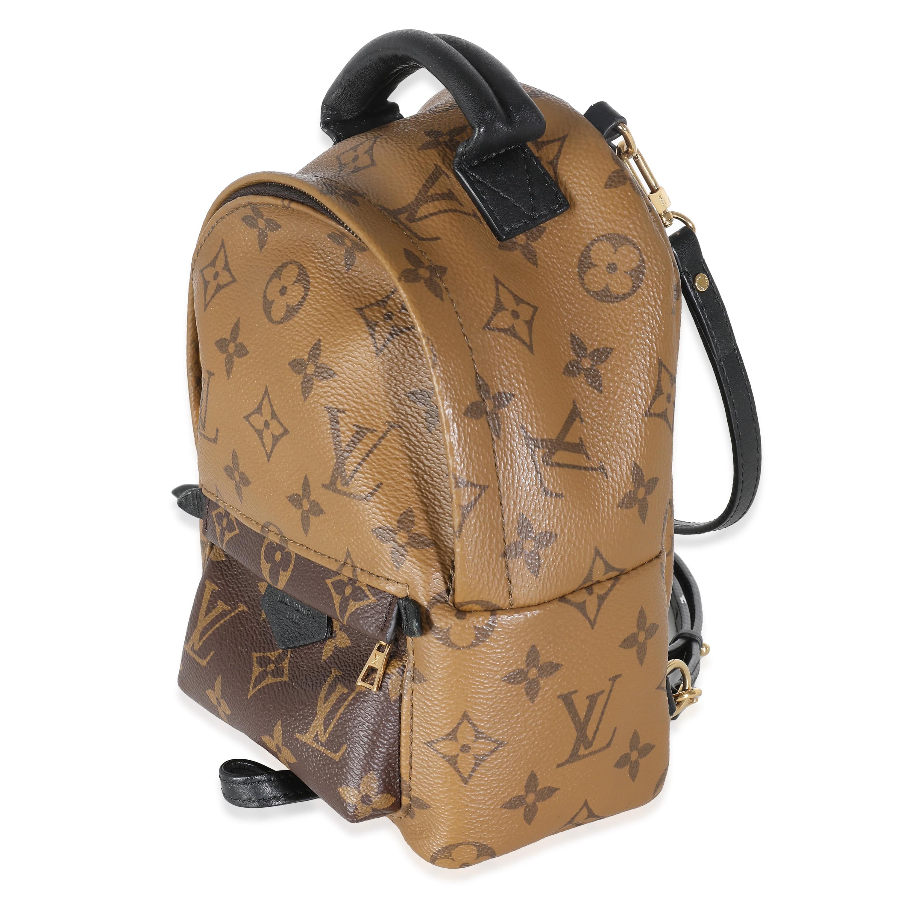 Louis Vuitton LV Reverse Monogram Canvas Mini Palm Springs