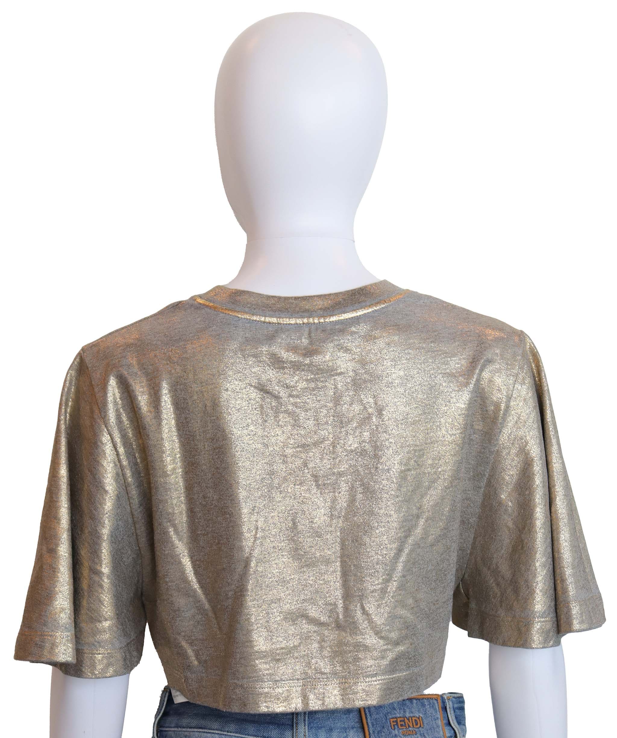 Louis Vuitton Louis Vuitton Small Silver Top ASC6381