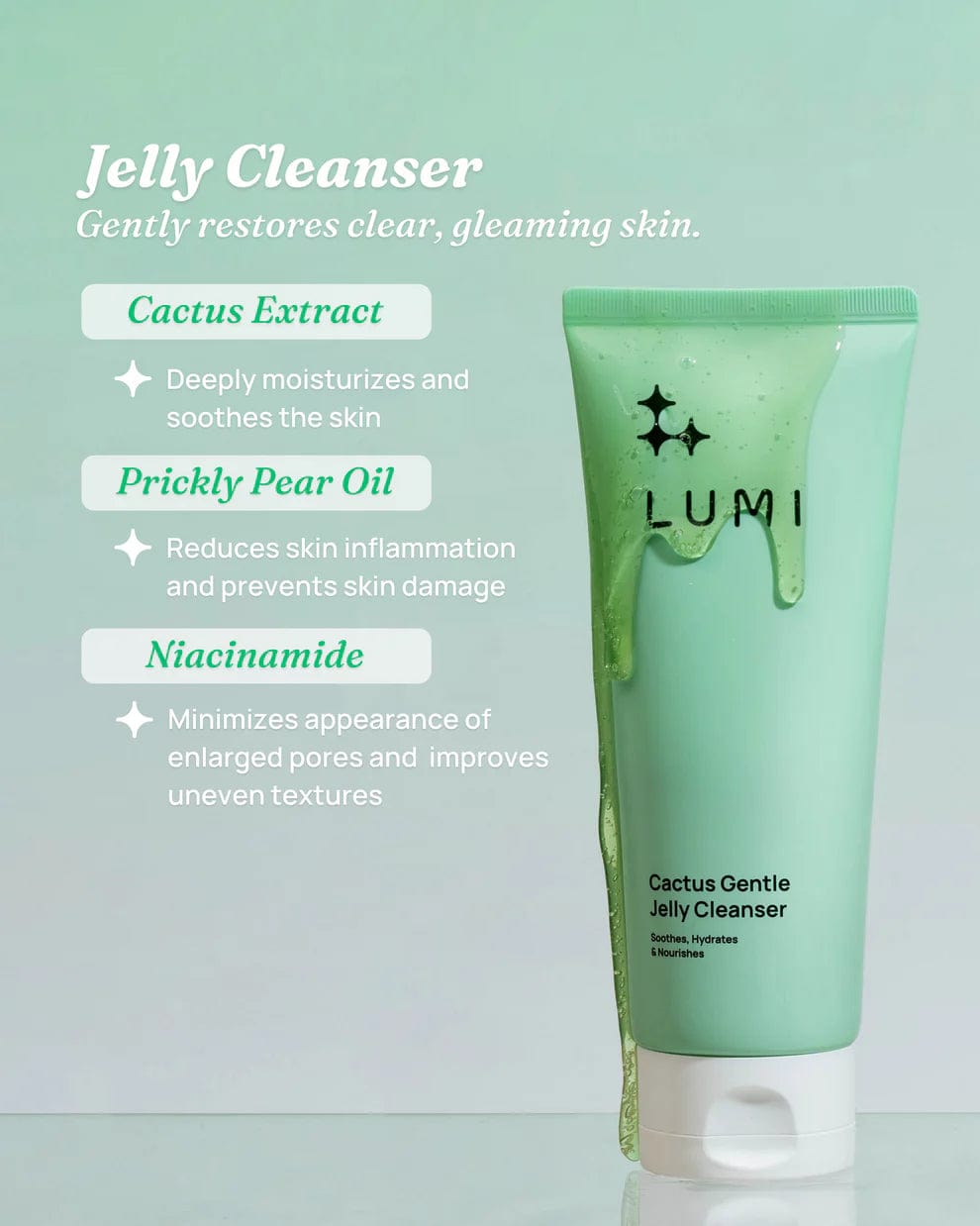 LUMI Beauty LUMI Beauty Cactus Gentle Jelly Cleanser ANC1020