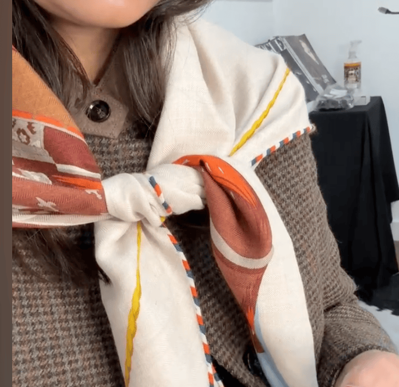 Luxury Promise Hermes scarf ALC4196
