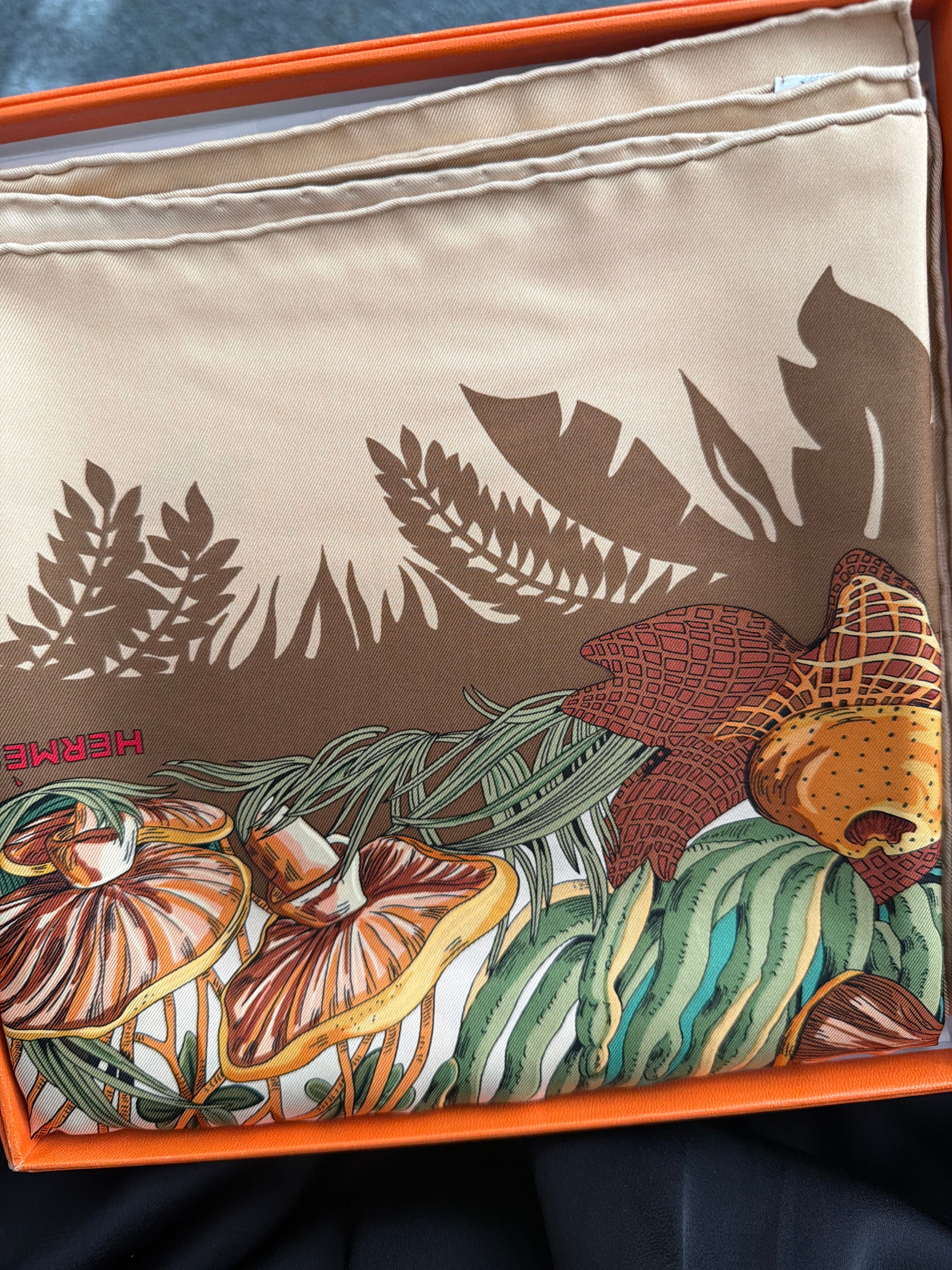 Luxury Promise Hermes silk scarf brown tone with box - u1dtou180q -  AKC1515