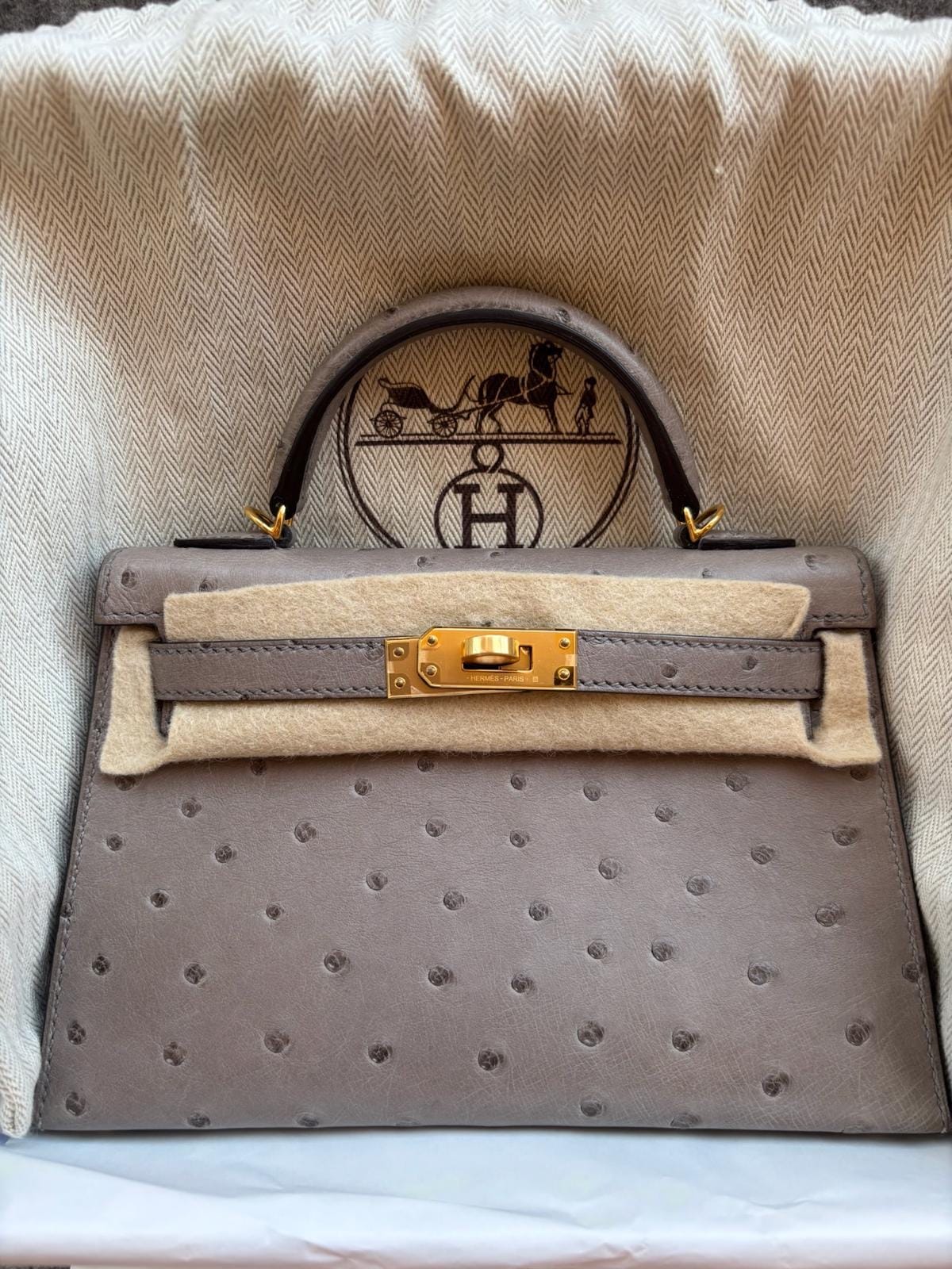 Luxury Promise Mini Kelly ostrich U stamp ALTC1001