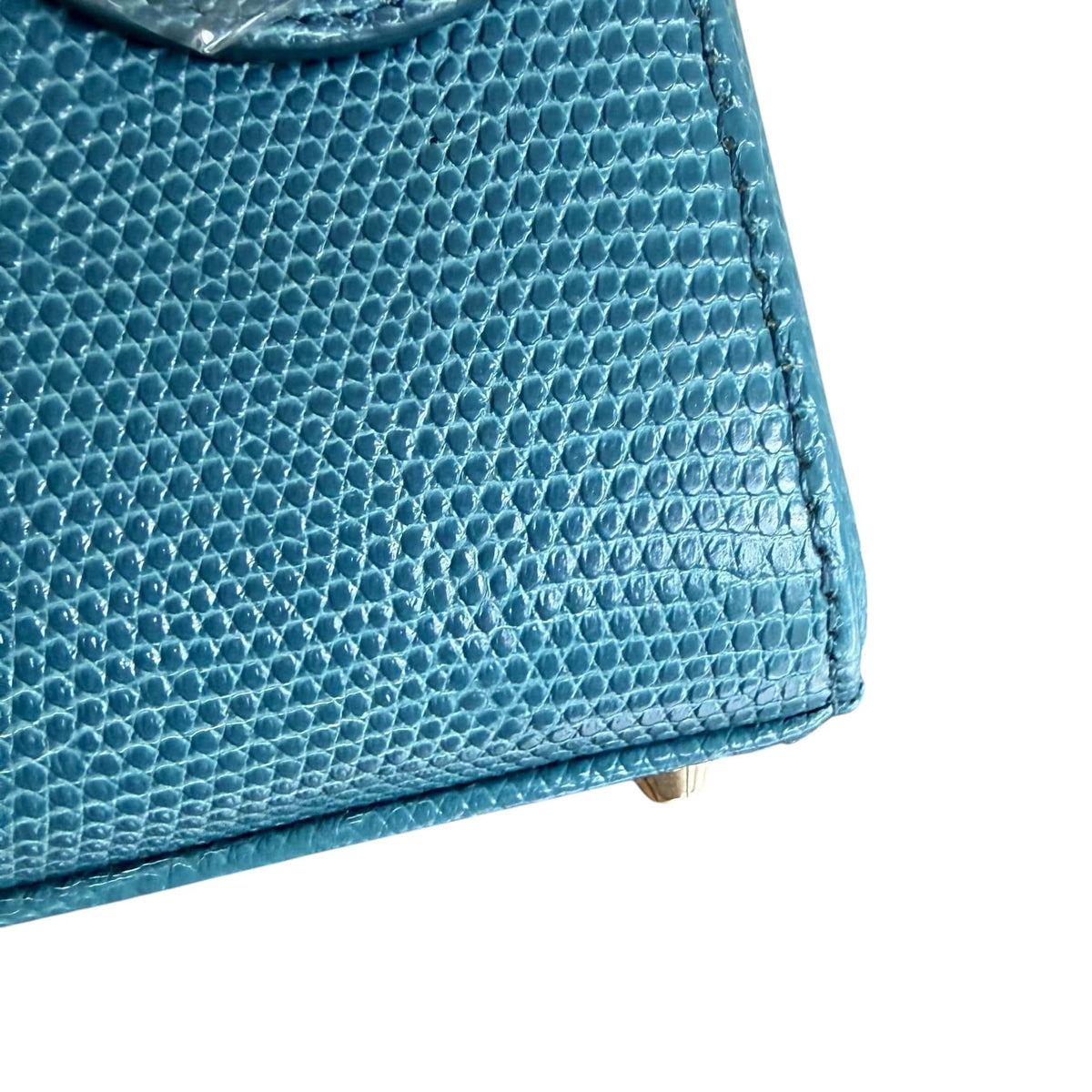 Luxury Promise Dior Lady Mini - Exotic Lizard Gold Hardware