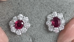 Luxury Promise Pt900 Ruby Earrings J0601Z5RQU