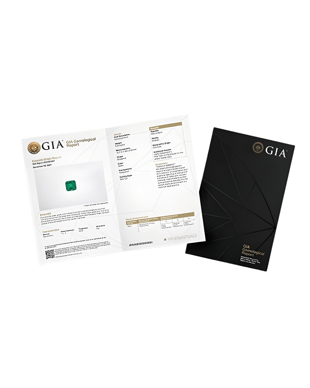 Luxury Promise GIA REPORT JAPAN