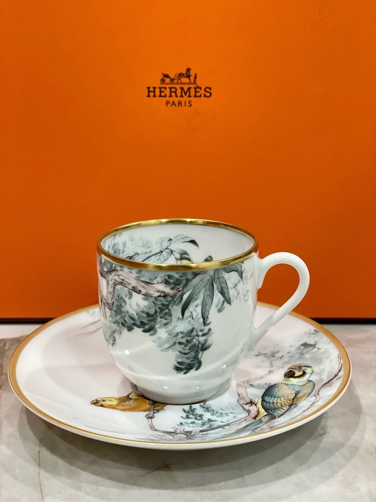 Luxury Promise Hermès "Carnets d'Equateur" Coffee Cup & Saucer Set