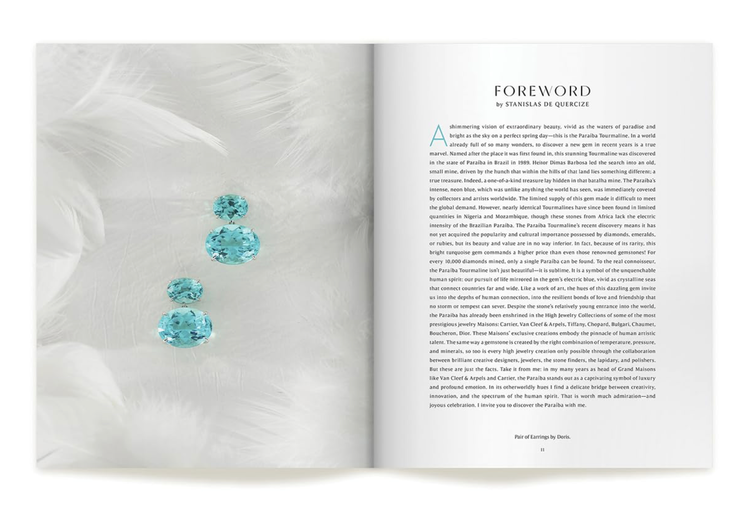 Luxury Promise Paraíba: The Legacy of a Color Hardcover  DXBS5681