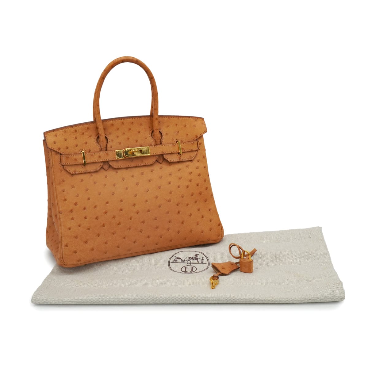 Luxury Promise Japan HERMES BIRKIN 30 CHESTNUT OSTRICH HAND BAG 2008 SQUARE L GOLD HARDWARE 90344566