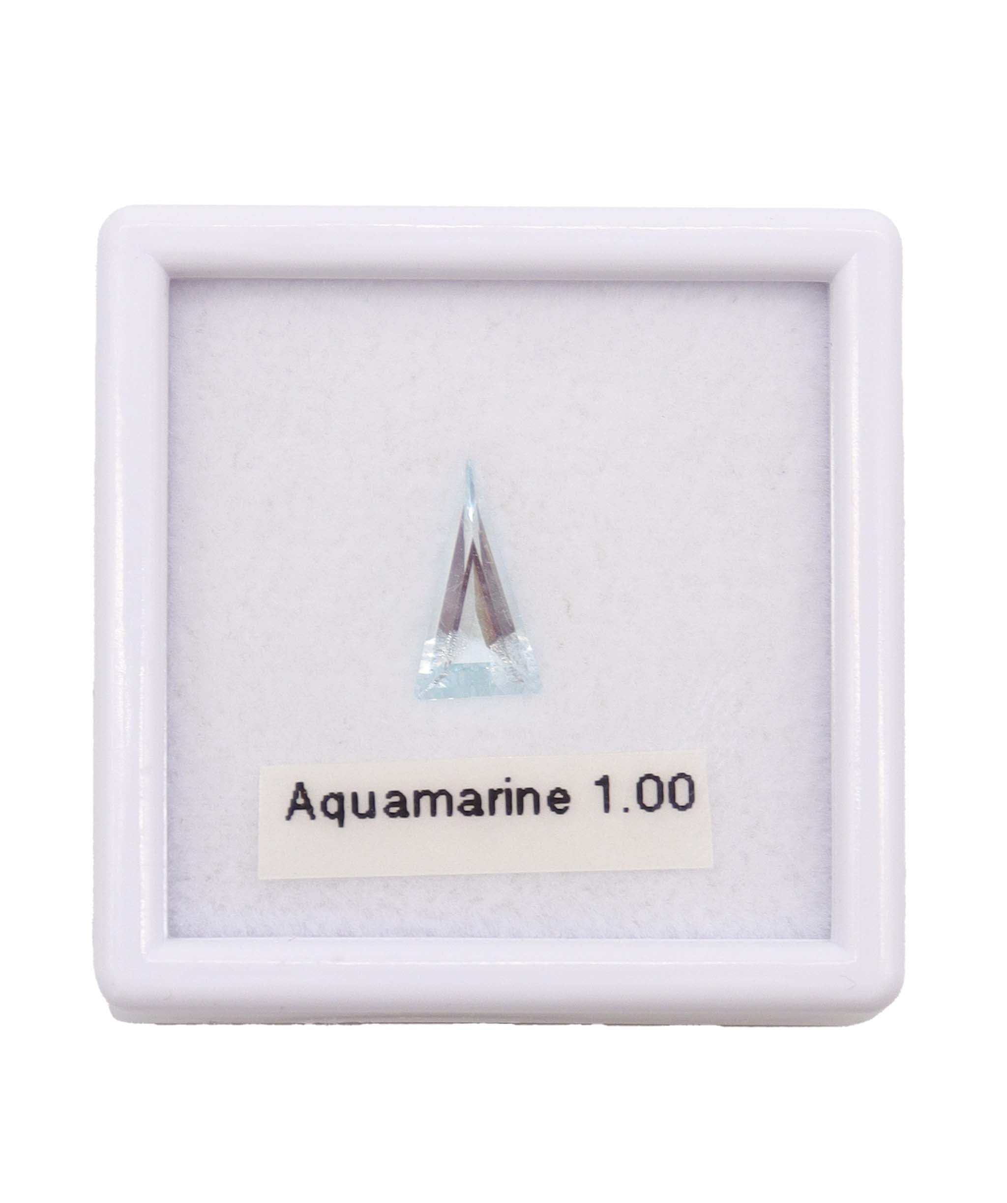 Luxury Promise 1.00ct Aquamarine Fancy Cut DXBD0194