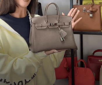 Luxury Promise H26030857 Hermes Birkin 25 h26030857