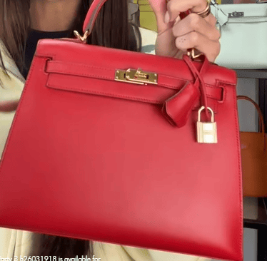 Luxury Promise IB25120252 Hermes Kelly 25 ib25120252