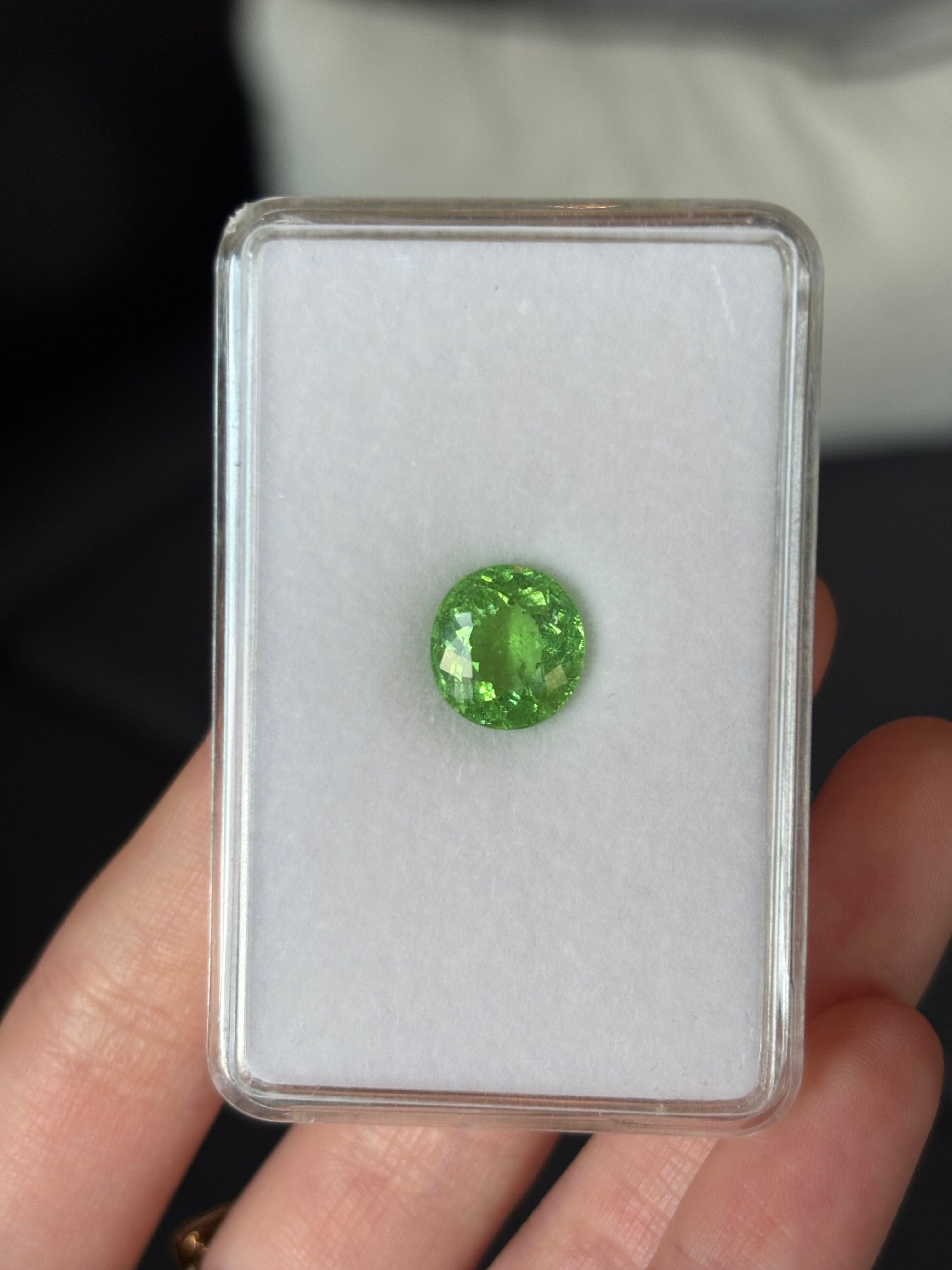 Luxury Promise P-14 3.86ct Green Paraiba Cuts DXBCD1516