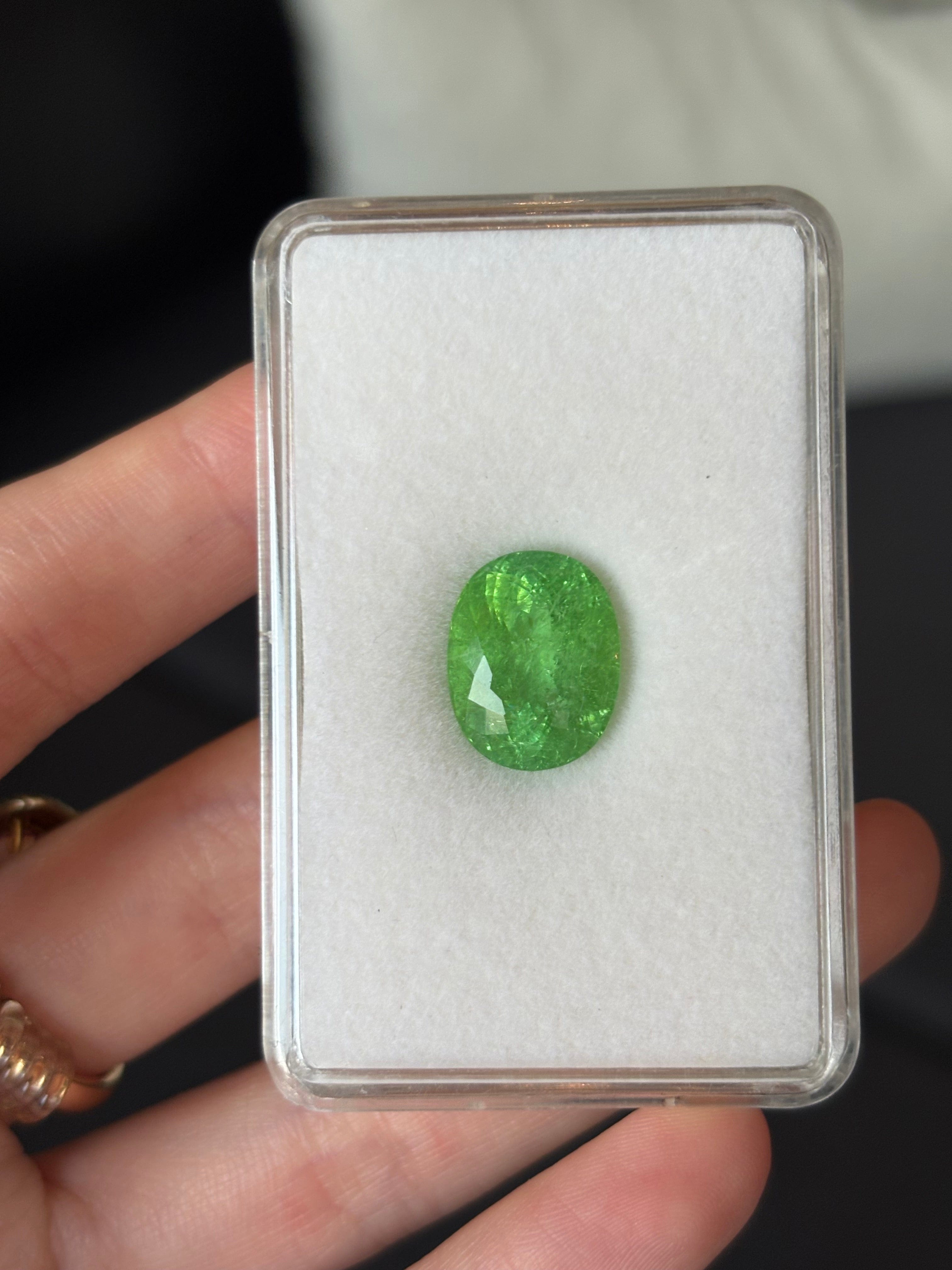 Luxury Promise P-15 8.44ct Green Paraiba Cuts DXBCD1517