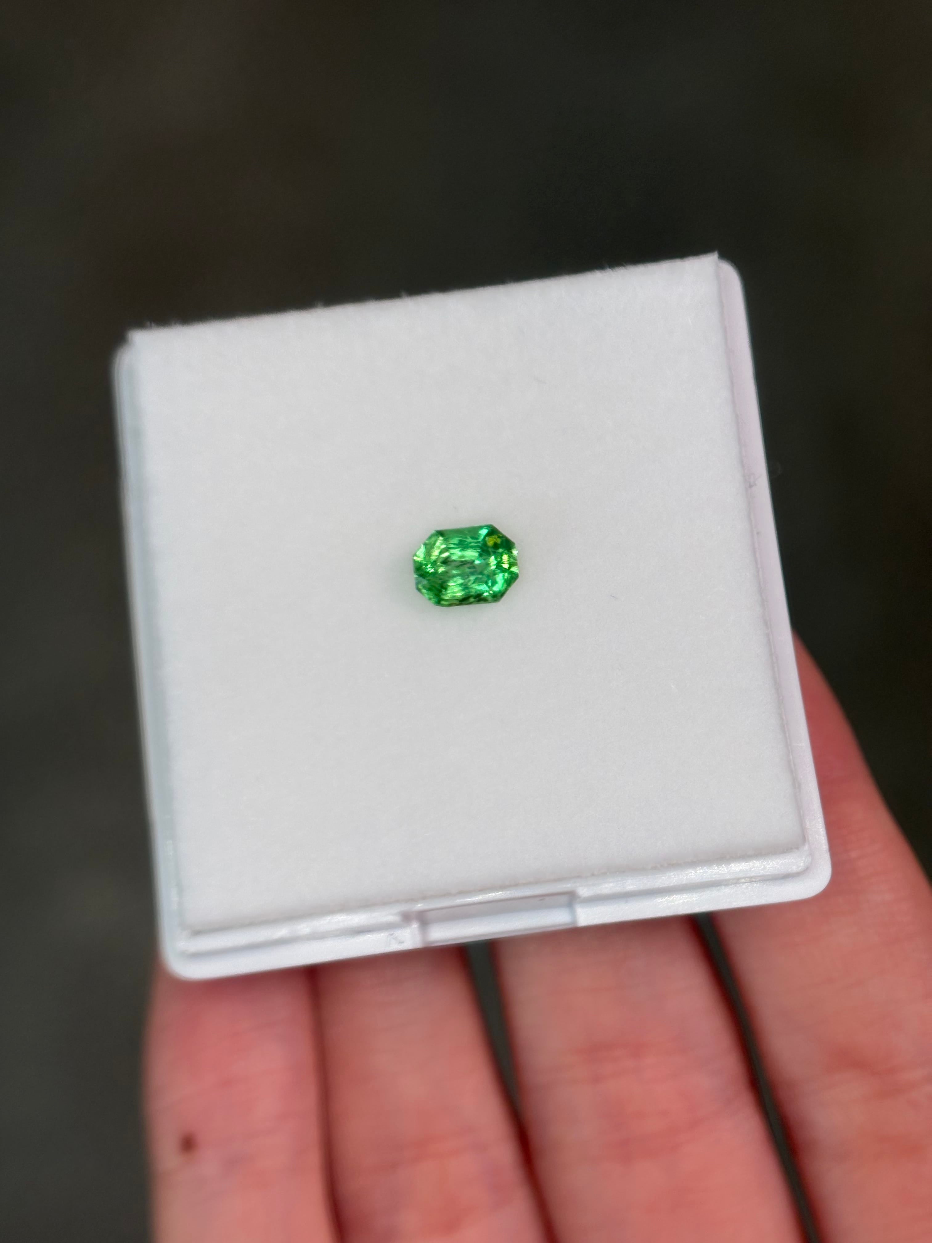 Luxury Promise 0.70ct Tsavorite DXBCS5940
