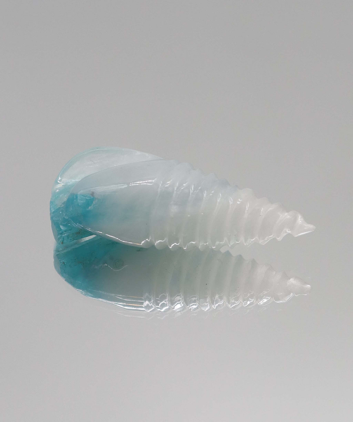 Luxury Promise 18.40ct Brazilian Paraiba Cabochon/Rough Shell DXBS6750