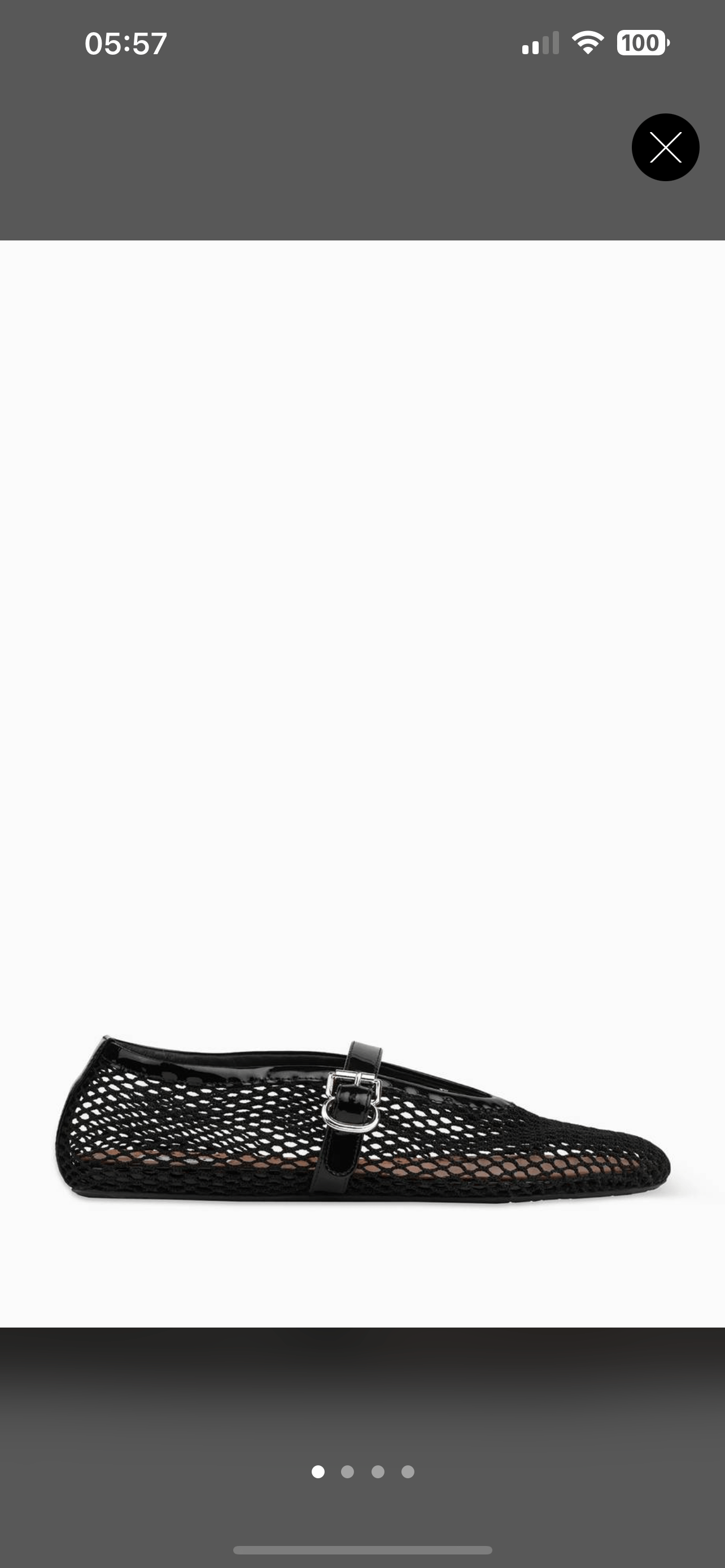 LuxuryPromise Aalia shoes fishnet black