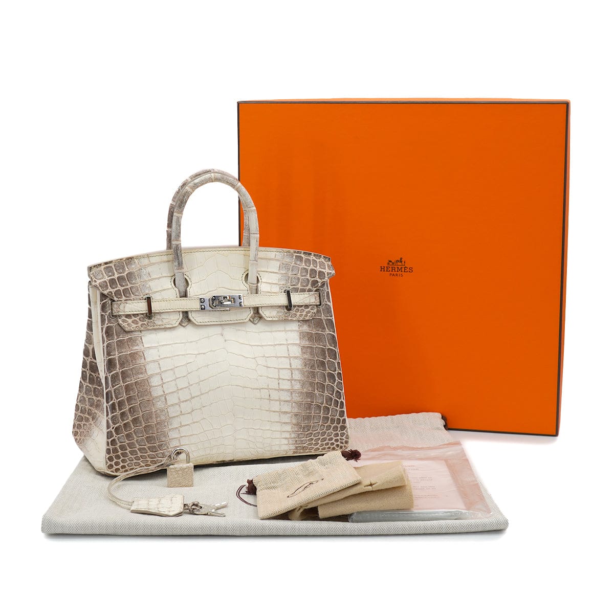 PURPOSE HERMES BIRKIN 25 HIMALAYA CROCODILE NILOTICUS MAT HAND BAG 2015 T STAMP PALLADIUM HARDWARE 90327986