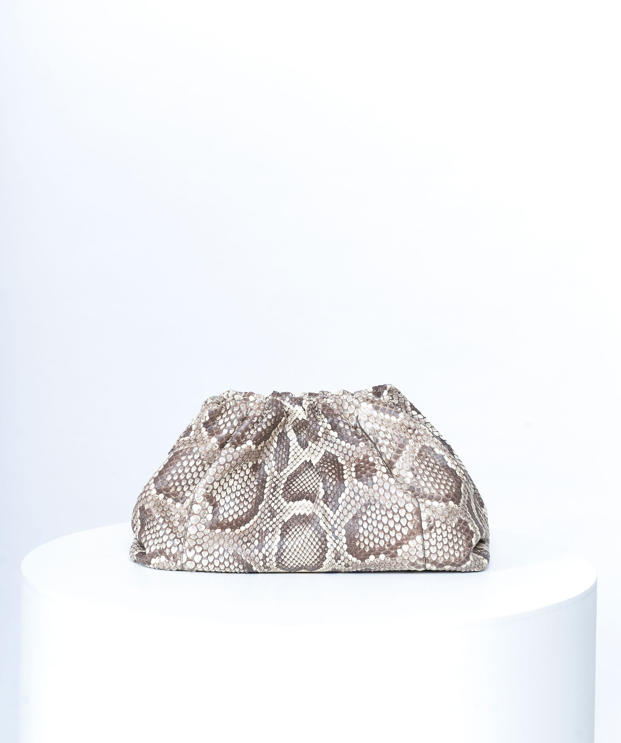 Bottega Bottega Veneta pouch python