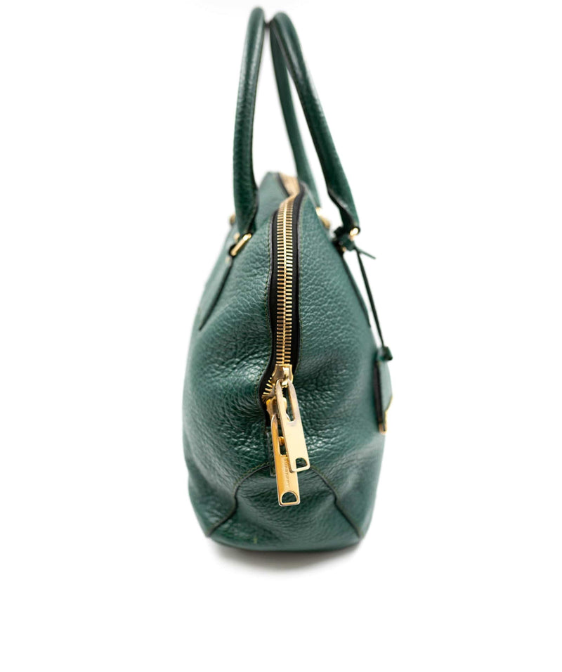 Burberry Green Orchard Handbag - AWC1701 – LuxuryPromise