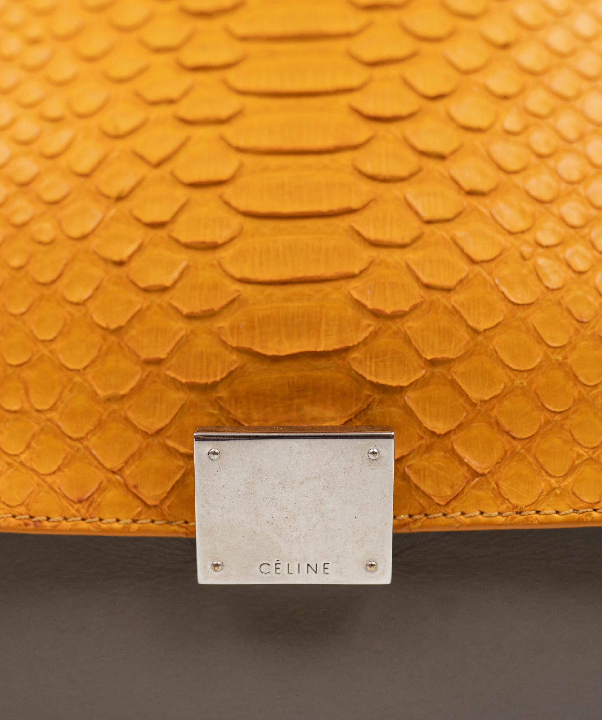 Celine Celine Python Amber Leather Trapeze Bag  - AGL1928
