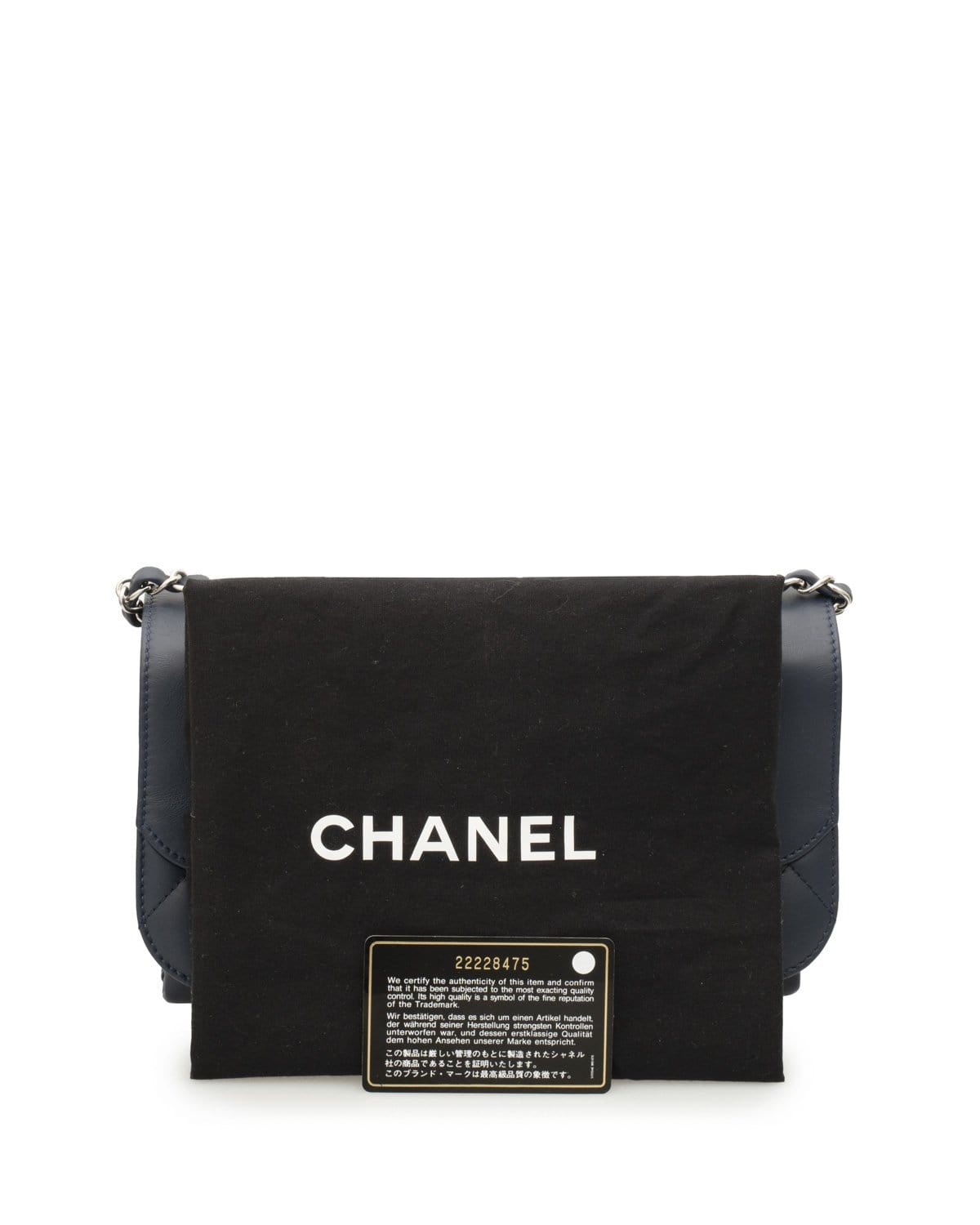 Chanel Chanel Blue Seasonal Flap Bag - ADL1683