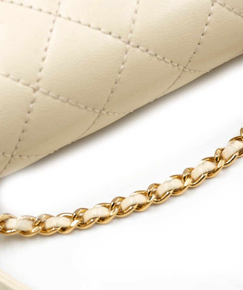 Rank A｜ CHANEL Matrasse Diana 22 Lamb Skin Chain Bag ｜23092611