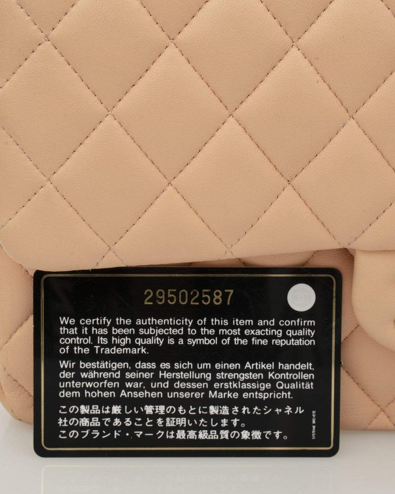 Chanel Chanel Pink 10" Medium Lambskin Classic Flap Bag PHW  - AGL1502