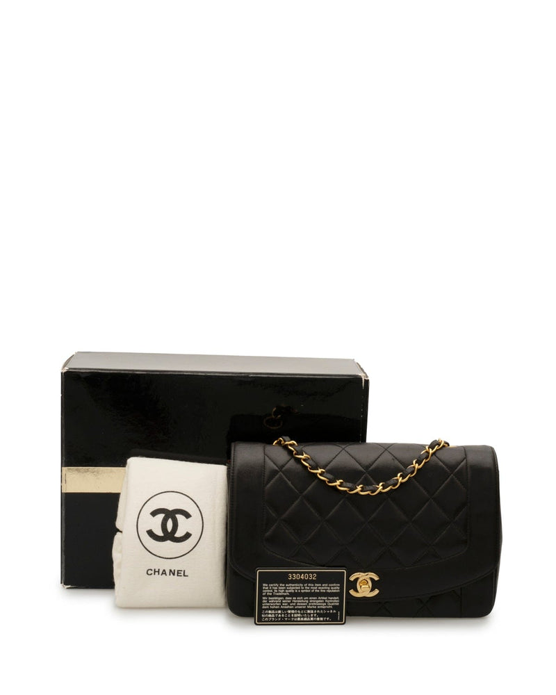 Chanel Vintage Diana 10 Medium Classic Flap Bag - ASL1914