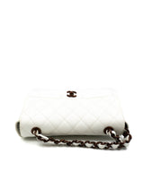 Chanel Chanel White torteishelle bag AGL2299