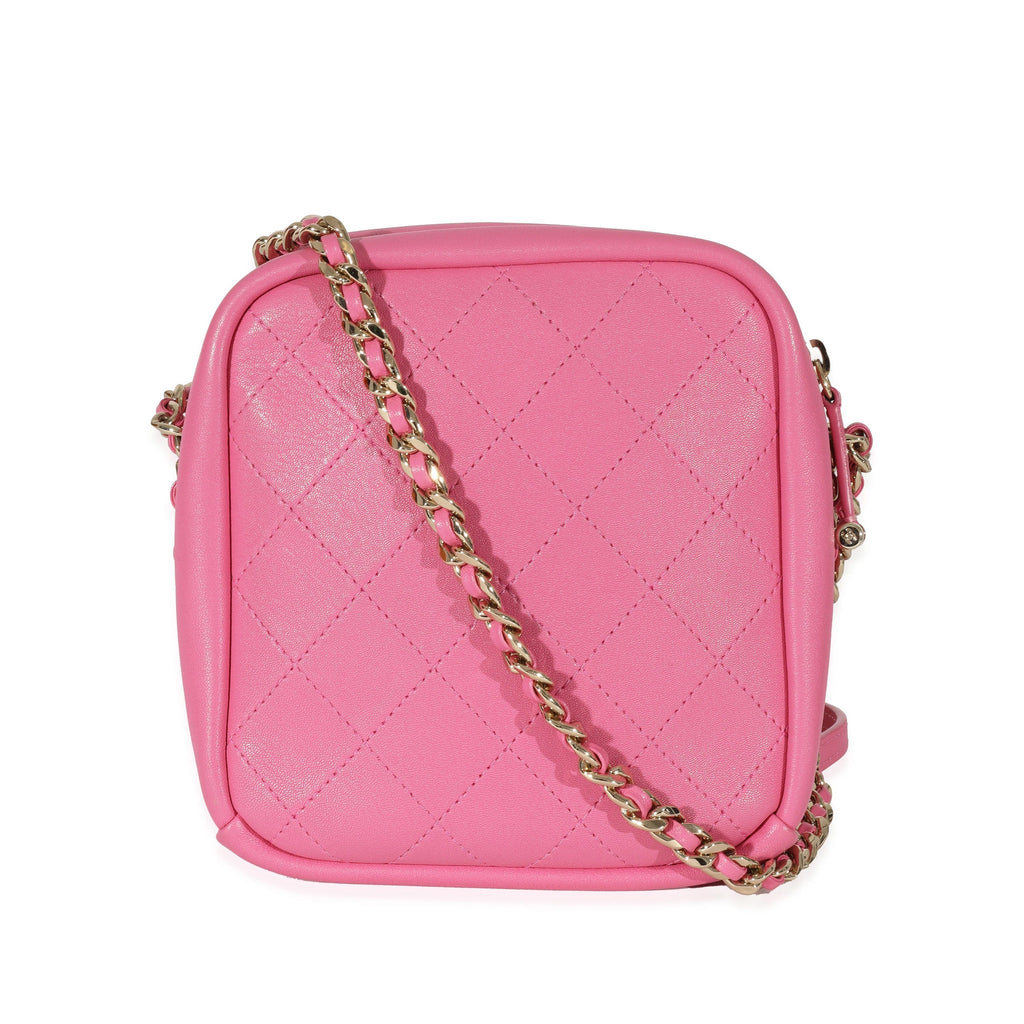 Chanel Pink Goatskin Casual Trip North South Camera Case – LuxuryPromise