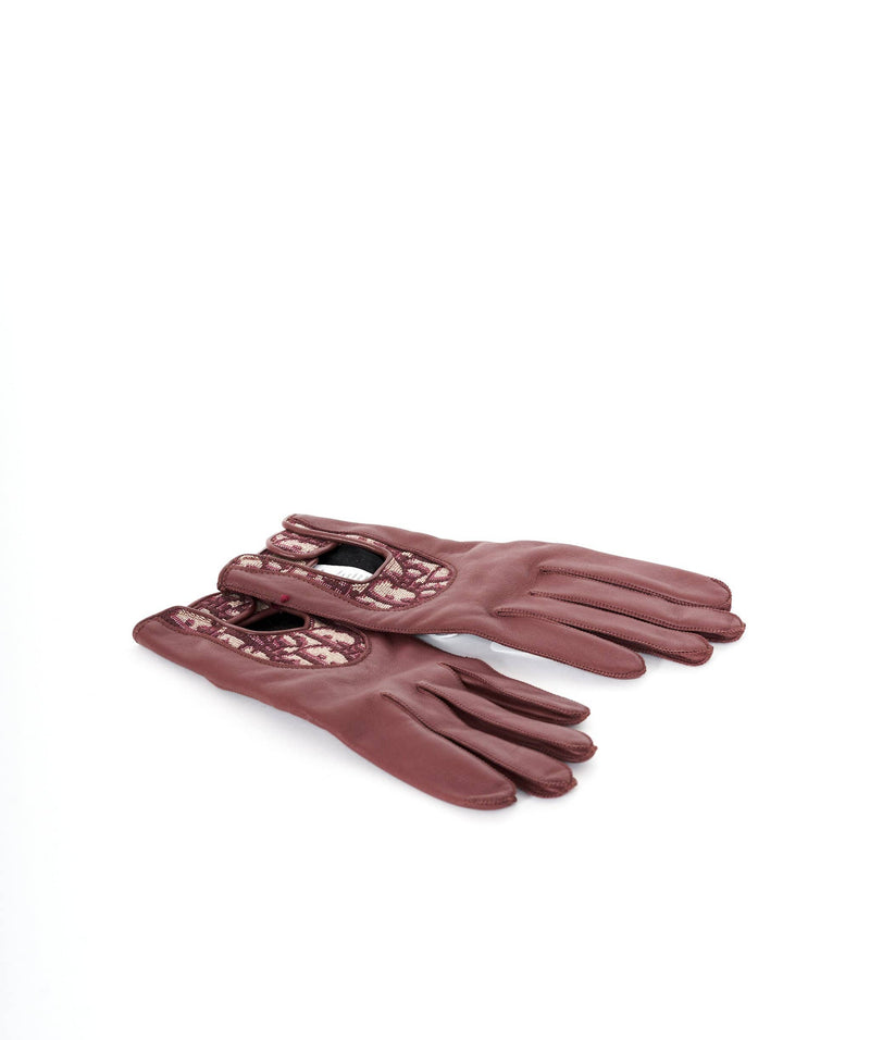 Christian Dior Dior Oblique gloves