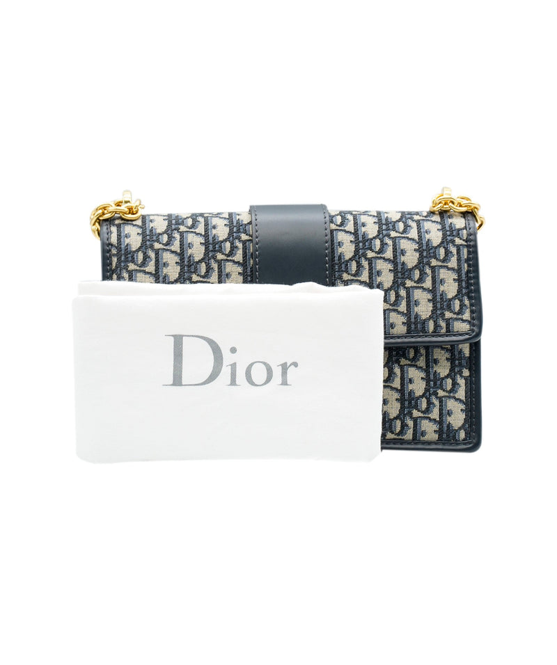 Christian Dior 30 Montaigne Pouch With Chain – JDEX Styles