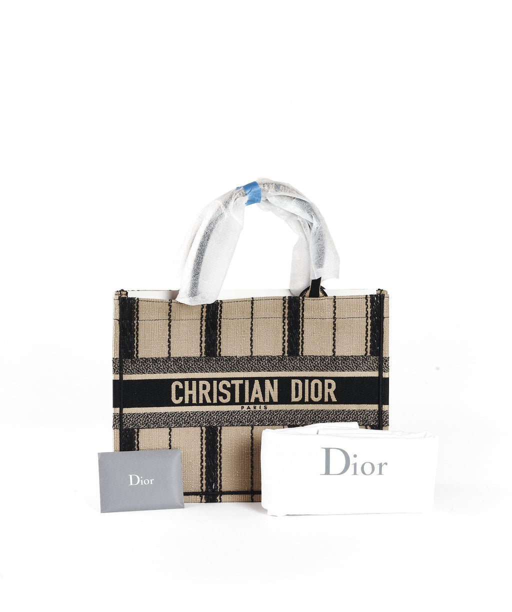 A Small Dior Book Tote Reveal from Paris