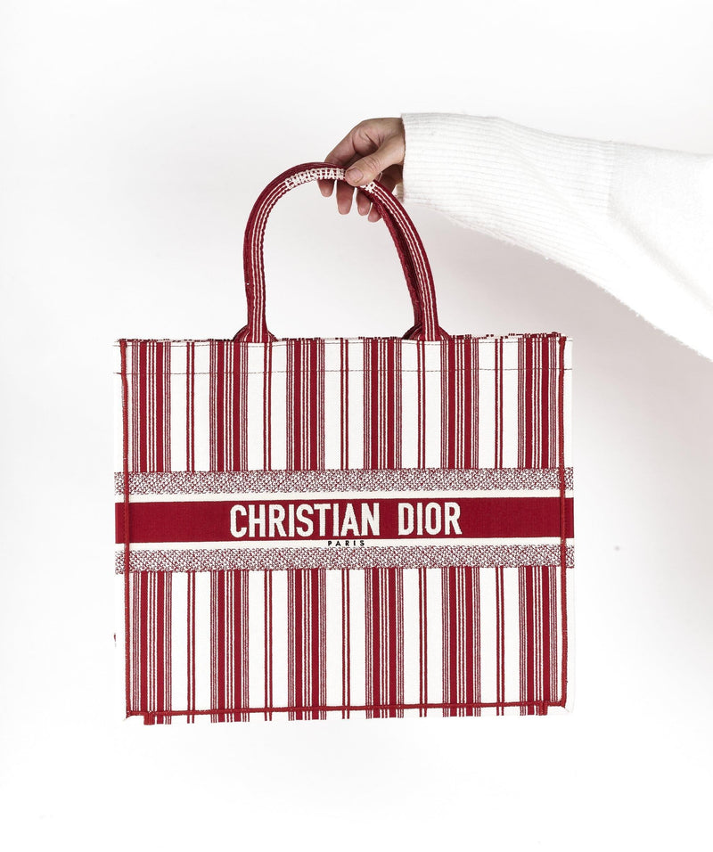 Christian Dior Dior Book tote Red stripe