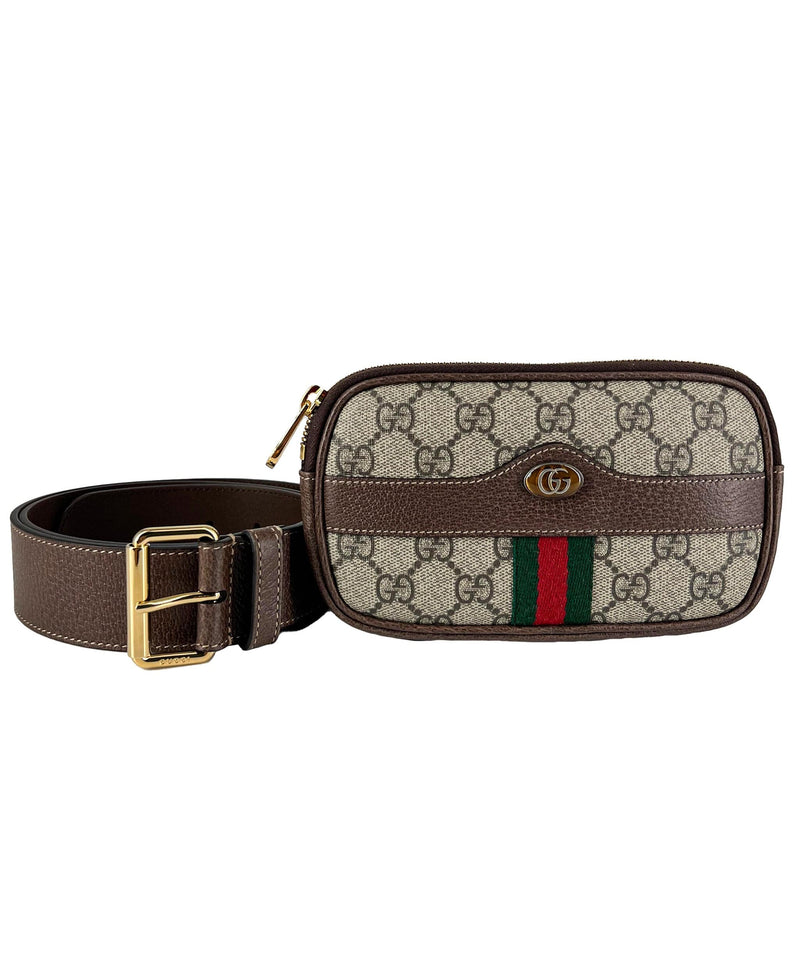 Gucci Gucci Brown Belt Bag RJL1821