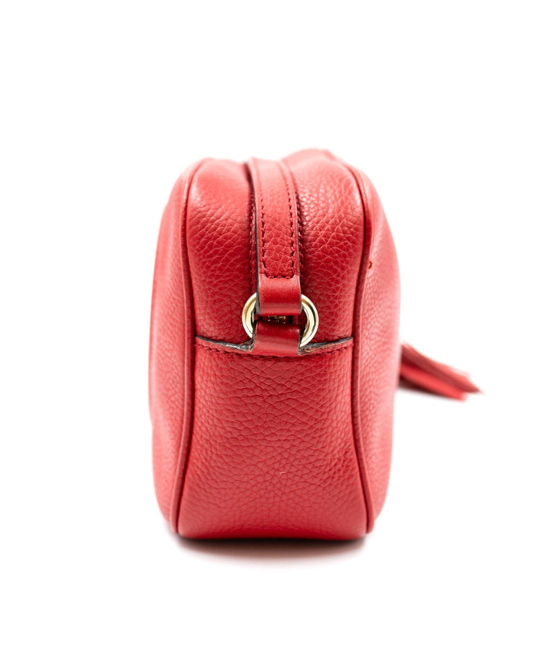 Gucci Camera Bag GG Apple - Gaja Refashion