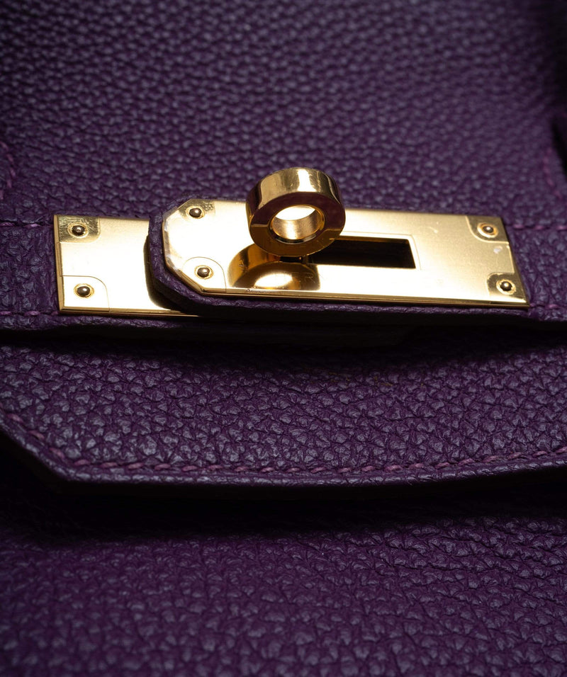 Hermes Birkin—The bag you definitely have heard of - Best Choice of Surface  Protection