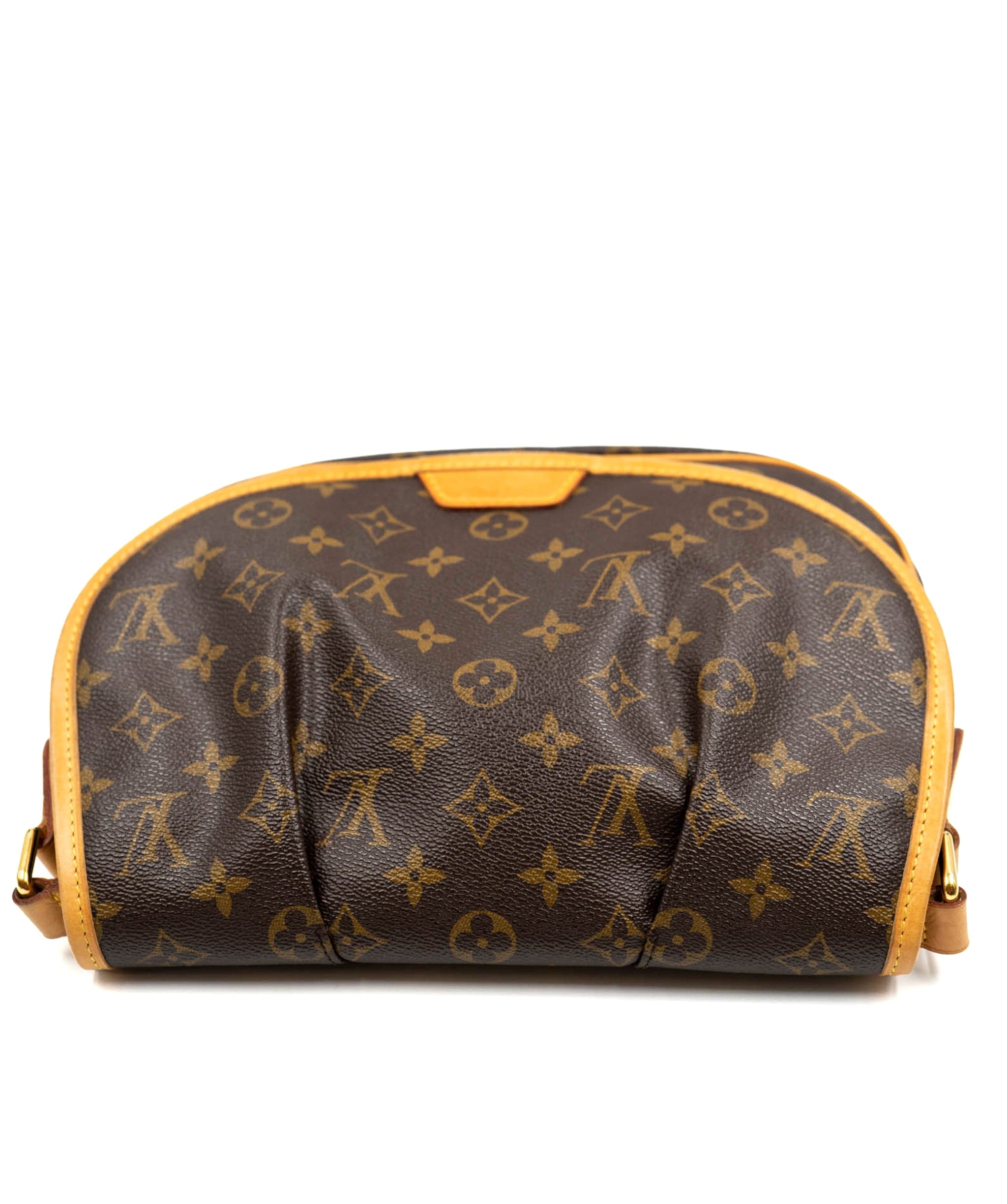 Louis Vuitton Louis Vuitton messanger monogram bag AJL0047