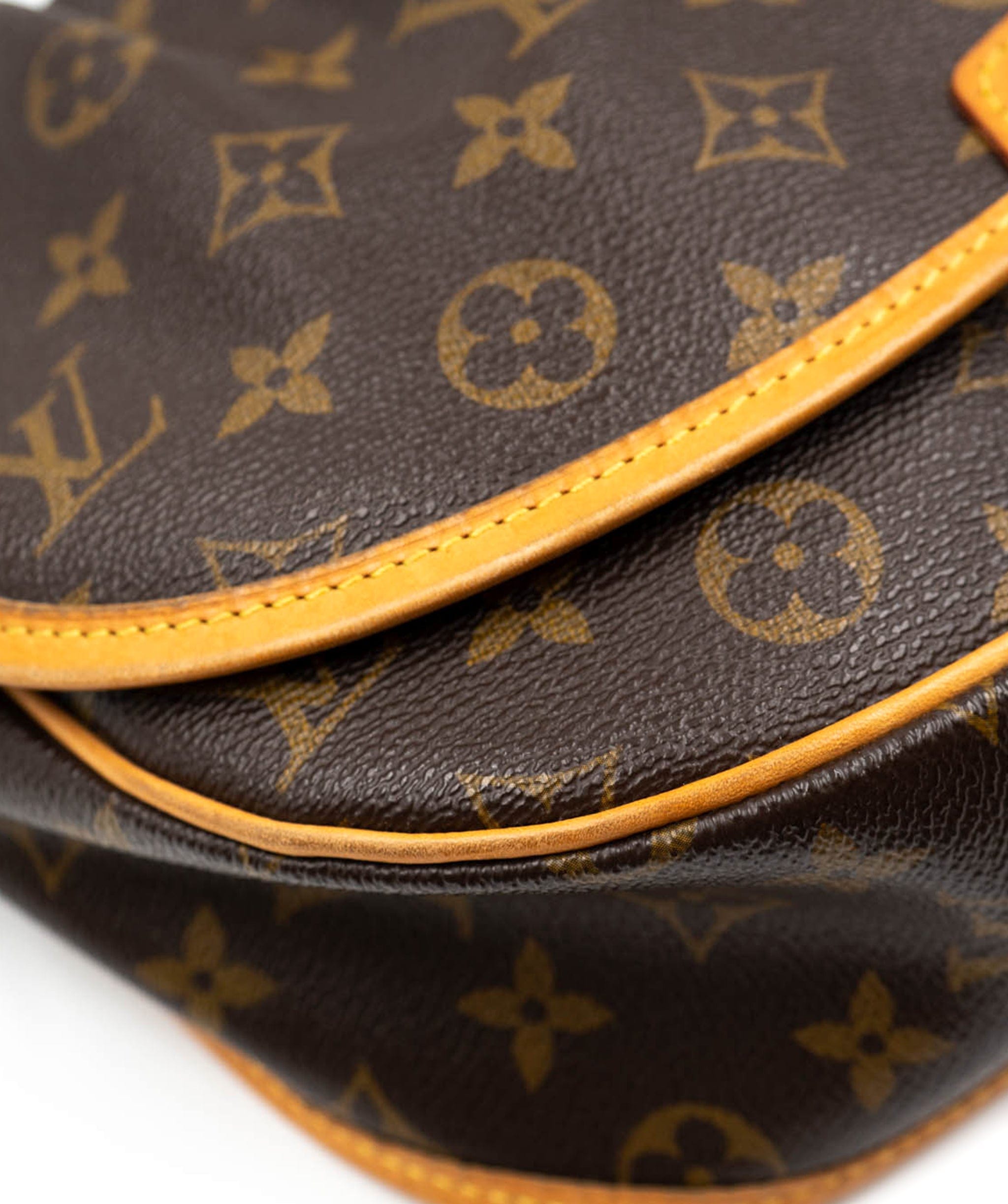 Louis Vuitton Louis Vuitton messanger monogram bag AJL0047