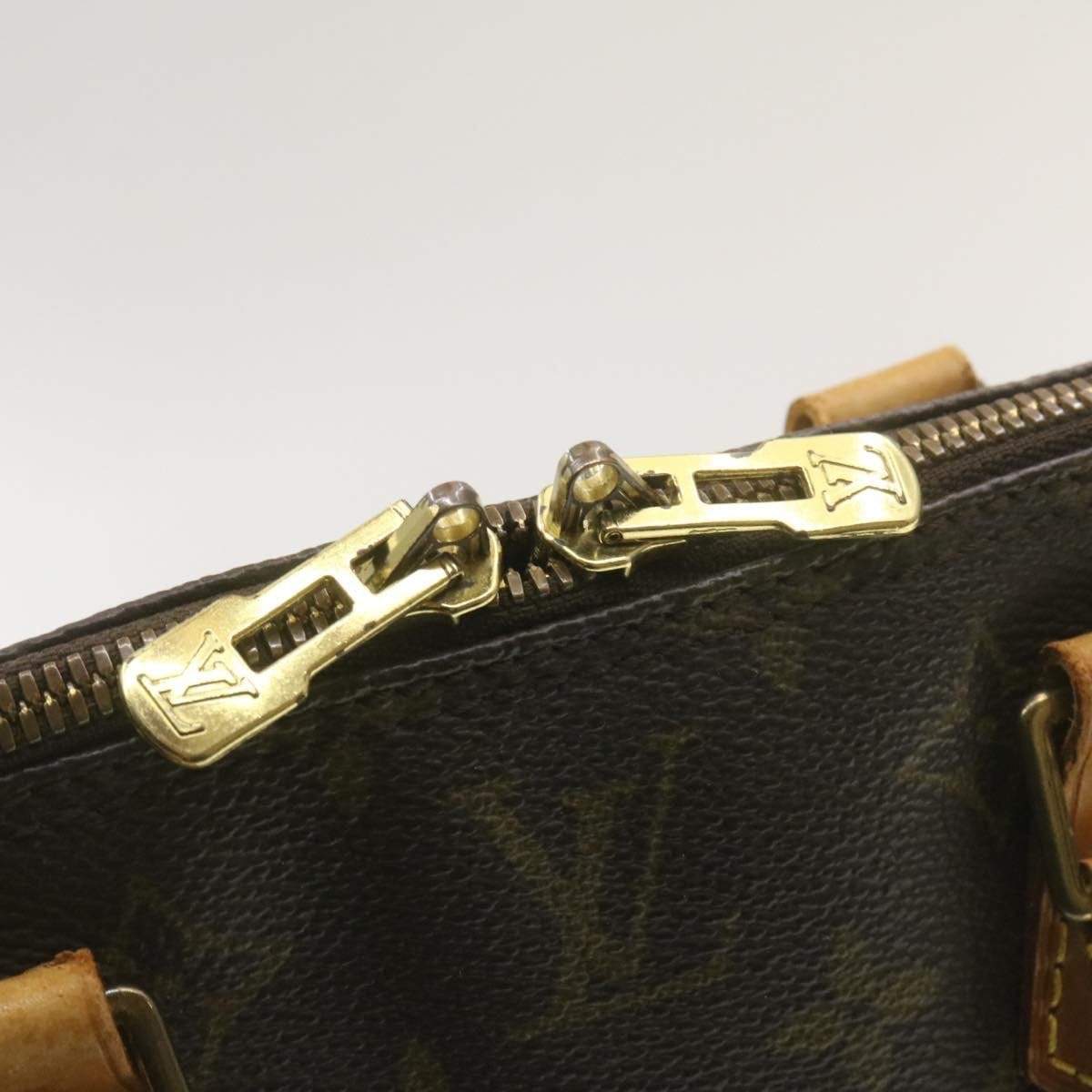 Louis Vuitton Louis Vuitton Monogram Alma PM