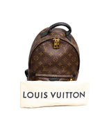 Louis Vuitton LOUIS VUITTON Monogram Palm Springs PM Backpack - AWL1683